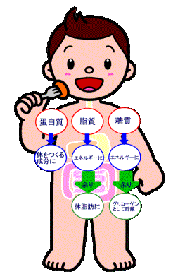 めーじず 健康な人